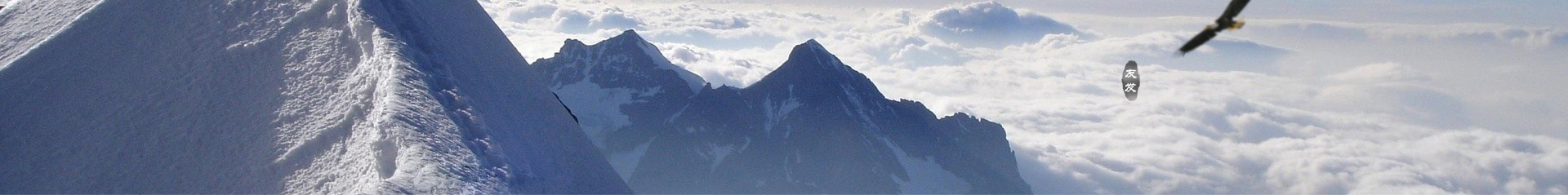 友發集團——上交所主板上市企業、連續17年位列中國企業500強