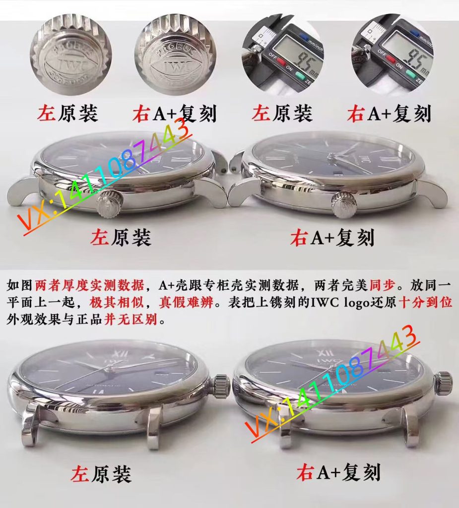 厚積薄發,精益求精—A+工廠萬國波濤菲諾深度評測?